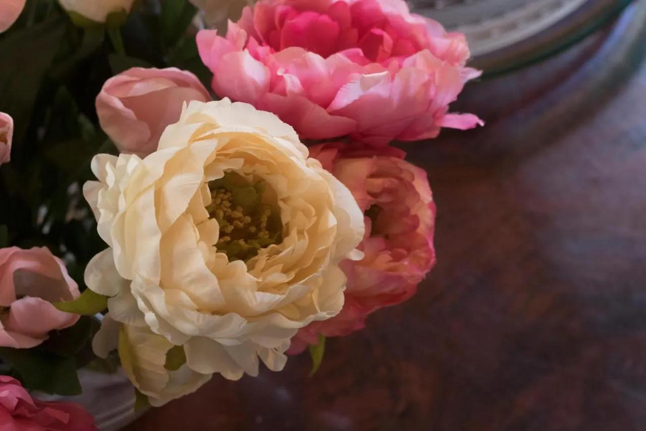 Bed & Breakfast B&B Brandolese Padova