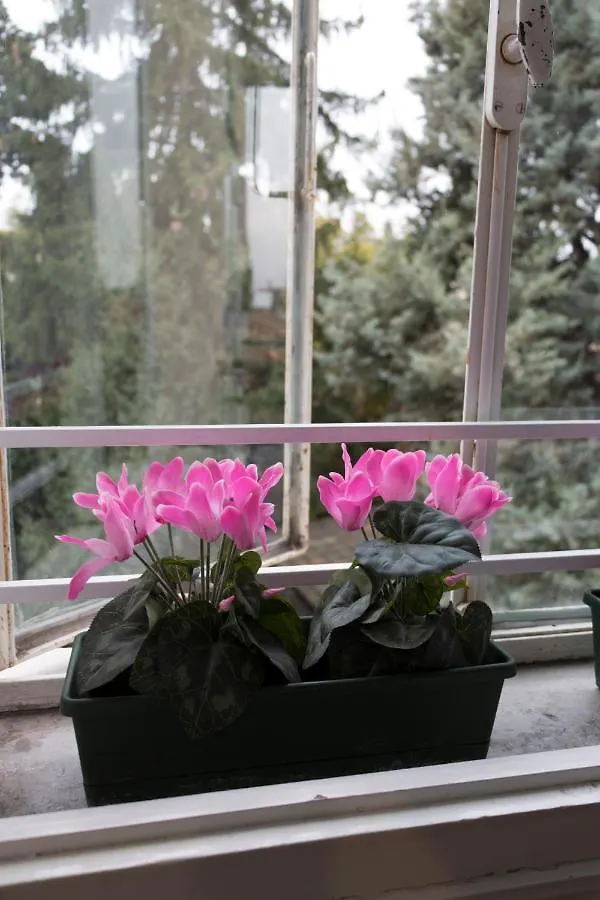 B&B Brandolese Padova