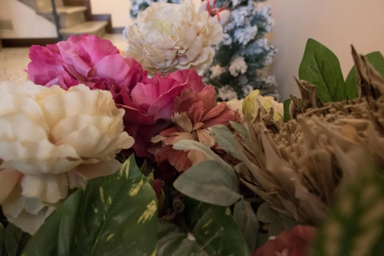 B&B Brandolese Padova Italy